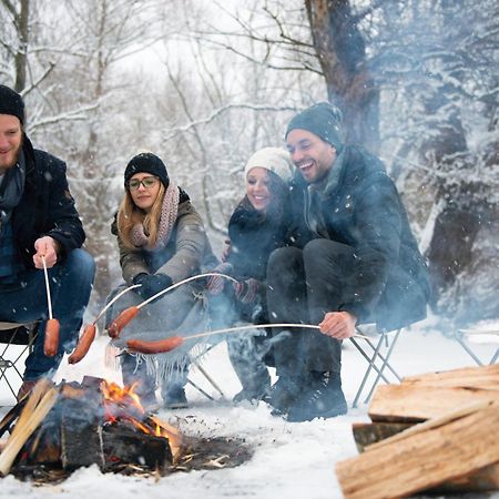 Forest Chalet, 15 Min To Salzburg Olt Town, And Most Beautiful Lakes, Secluded Location, 1,000 Sqm Garden, Mountainview, Panorama Sauna, Bath Whirlpool, Bbq&Bikes&Sunbeds For Free, Up To 10 P Golling an der Salzach Extérieur photo