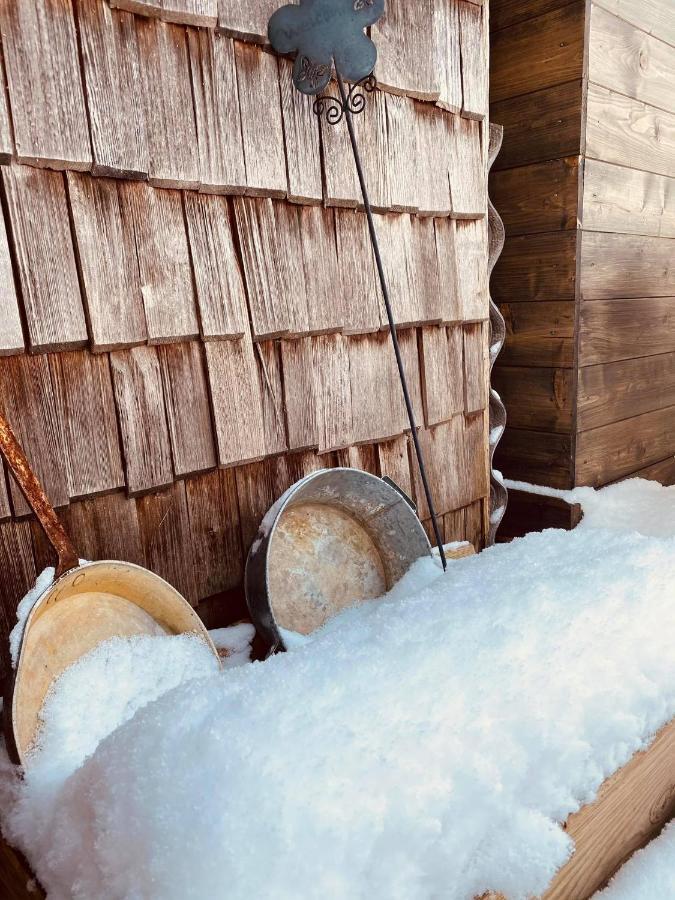 Forest Chalet, 15 Min To Salzburg Olt Town, And Most Beautiful Lakes, Secluded Location, 1,000 Sqm Garden, Mountainview, Panorama Sauna, Bath Whirlpool, Bbq&Bikes&Sunbeds For Free, Up To 10 P Golling an der Salzach Extérieur photo