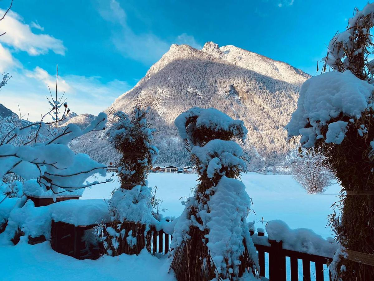 Forest Chalet, 15 Min To Salzburg Olt Town, And Most Beautiful Lakes, Secluded Location, 1,000 Sqm Garden, Mountainview, Panorama Sauna, Bath Whirlpool, Bbq&Bikes&Sunbeds For Free, Up To 10 P Golling an der Salzach Extérieur photo