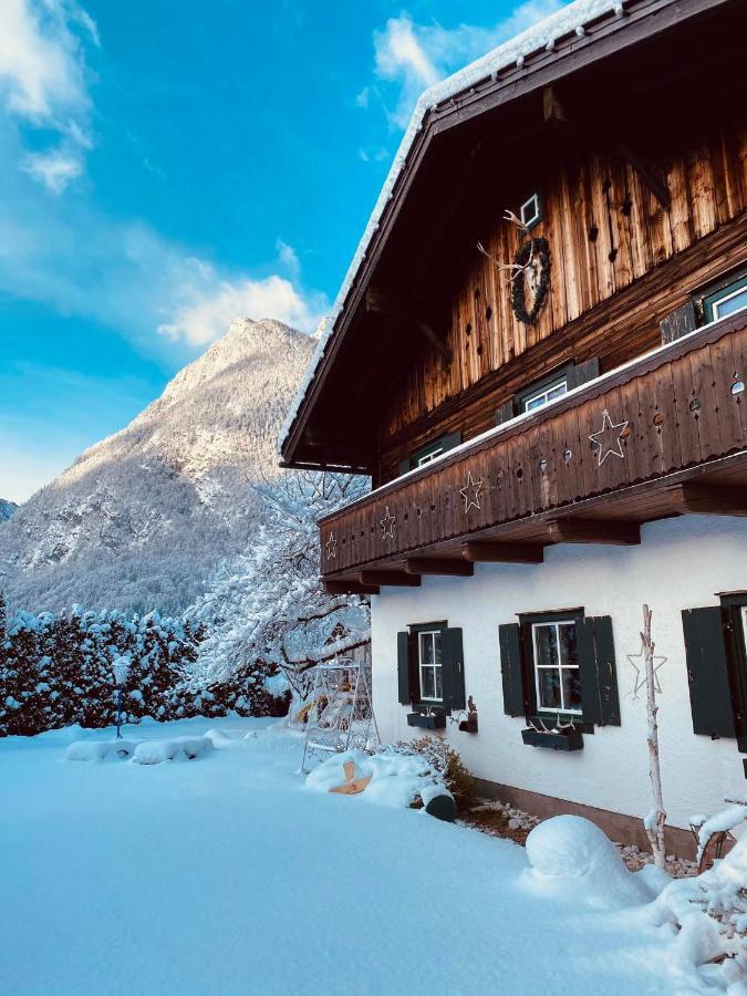 Forest Chalet, 15 Min To Salzburg Olt Town, And Most Beautiful Lakes, Secluded Location, 1,000 Sqm Garden, Mountainview, Panorama Sauna, Bath Whirlpool, Bbq&Bikes&Sunbeds For Free, Up To 10 P Golling an der Salzach Extérieur photo