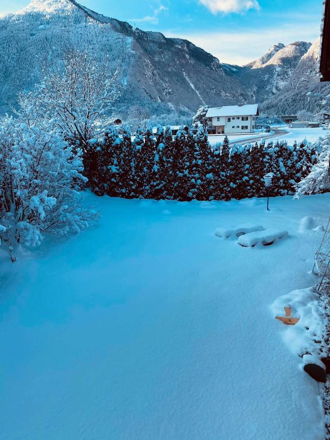 Forest Chalet, 15 Min To Salzburg Olt Town, And Most Beautiful Lakes, Secluded Location, 1,000 Sqm Garden, Mountainview, Panorama Sauna, Bath Whirlpool, Bbq&Bikes&Sunbeds For Free, Up To 10 P Golling an der Salzach Extérieur photo