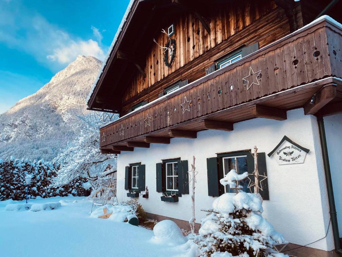 Forest Chalet, 15 Min To Salzburg Olt Town, And Most Beautiful Lakes, Secluded Location, 1,000 Sqm Garden, Mountainview, Panorama Sauna, Bath Whirlpool, Bbq&Bikes&Sunbeds For Free, Up To 10 P Golling an der Salzach Extérieur photo