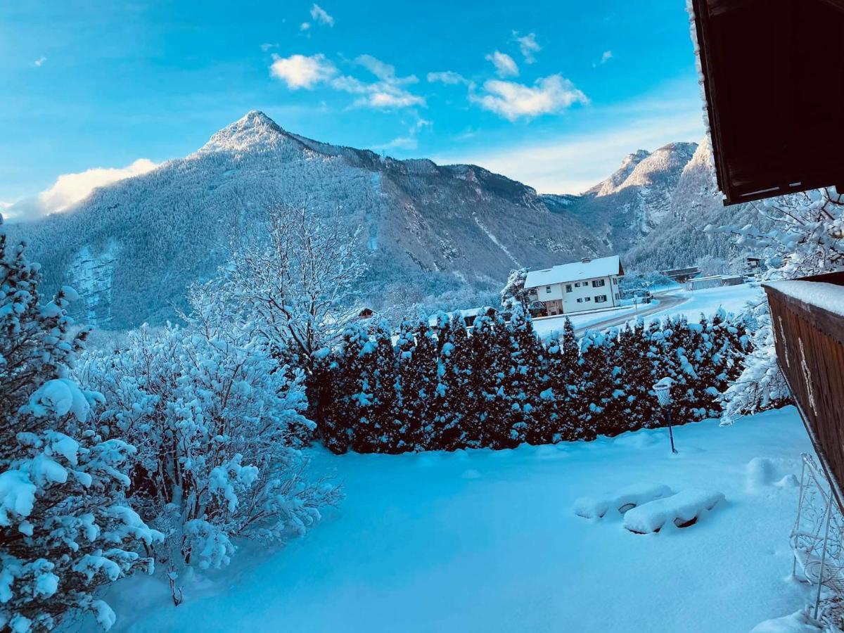 Forest Chalet, 15 Min To Salzburg Olt Town, And Most Beautiful Lakes, Secluded Location, 1,000 Sqm Garden, Mountainview, Panorama Sauna, Bath Whirlpool, Bbq&Bikes&Sunbeds For Free, Up To 10 P Golling an der Salzach Extérieur photo