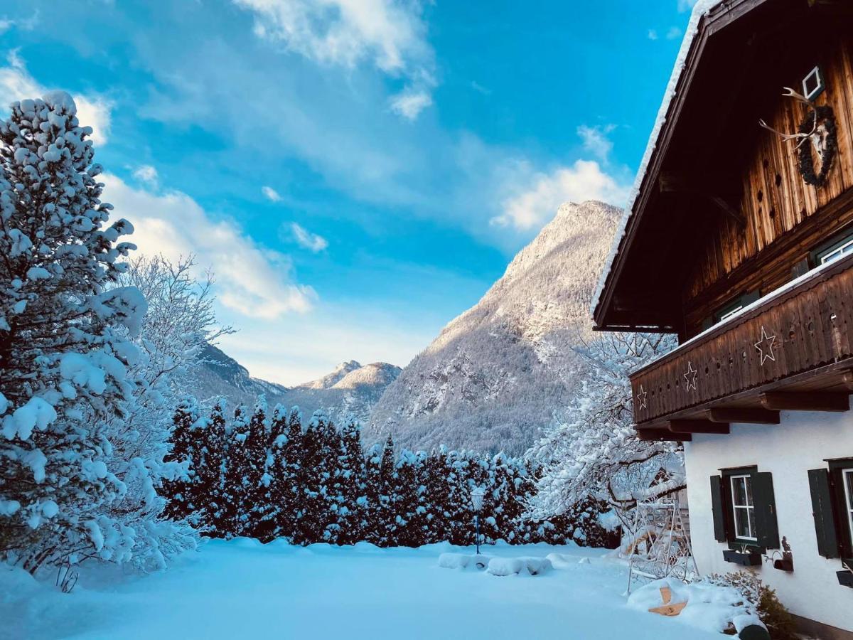 Forest Chalet, 15 Min To Salzburg Olt Town, And Most Beautiful Lakes, Secluded Location, 1,000 Sqm Garden, Mountainview, Panorama Sauna, Bath Whirlpool, Bbq&Bikes&Sunbeds For Free, Up To 10 P Golling an der Salzach Extérieur photo