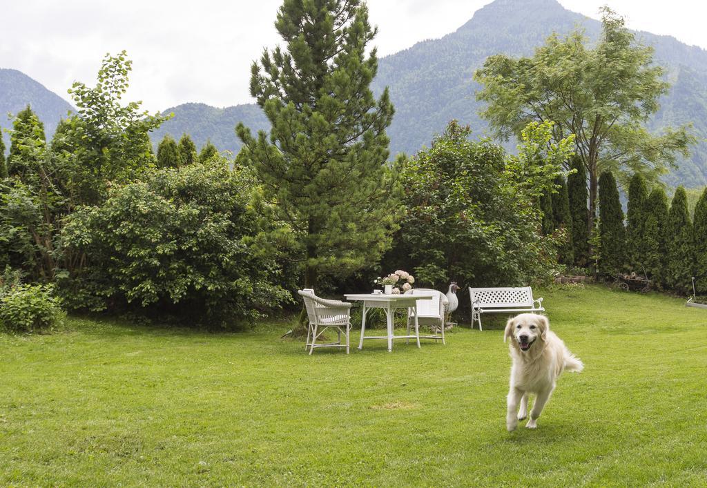 Forest Chalet, 15 Min To Salzburg Olt Town, And Most Beautiful Lakes, Secluded Location, 1,000 Sqm Garden, Mountainview, Panorama Sauna, Bath Whirlpool, Bbq&Bikes&Sunbeds For Free, Up To 10 P Golling an der Salzach Extérieur photo
