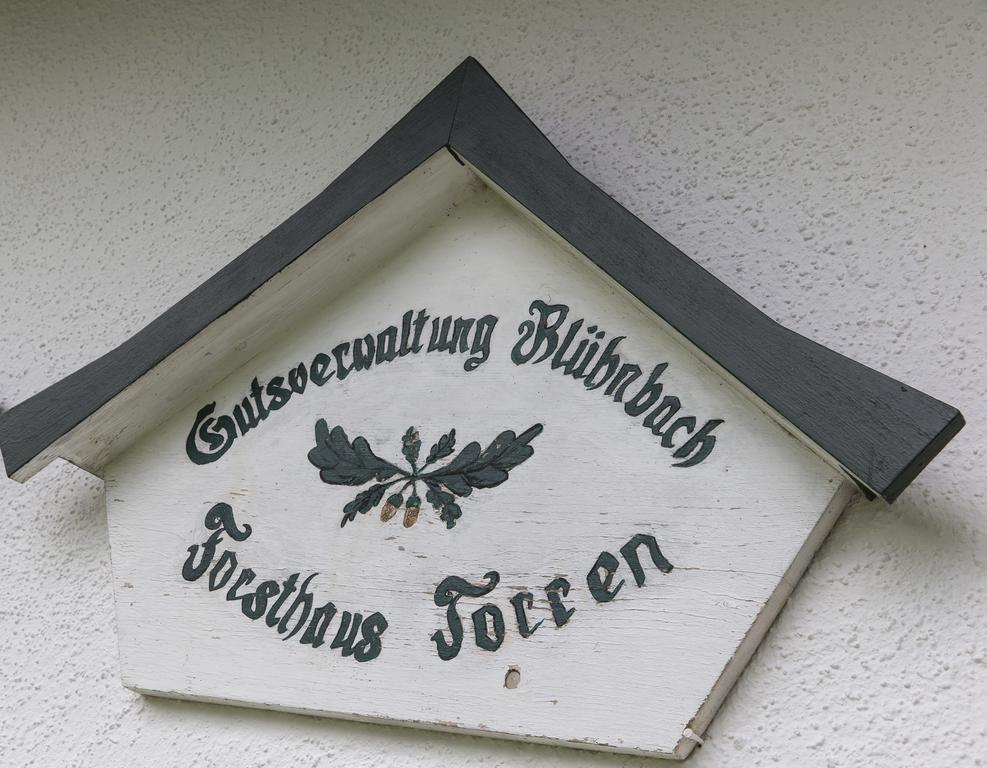 Forest Chalet, 15 Min To Salzburg Olt Town, And Most Beautiful Lakes, Secluded Location, 1,000 Sqm Garden, Mountainview, Panorama Sauna, Bath Whirlpool, Bbq&Bikes&Sunbeds For Free, Up To 10 P Golling an der Salzach Extérieur photo