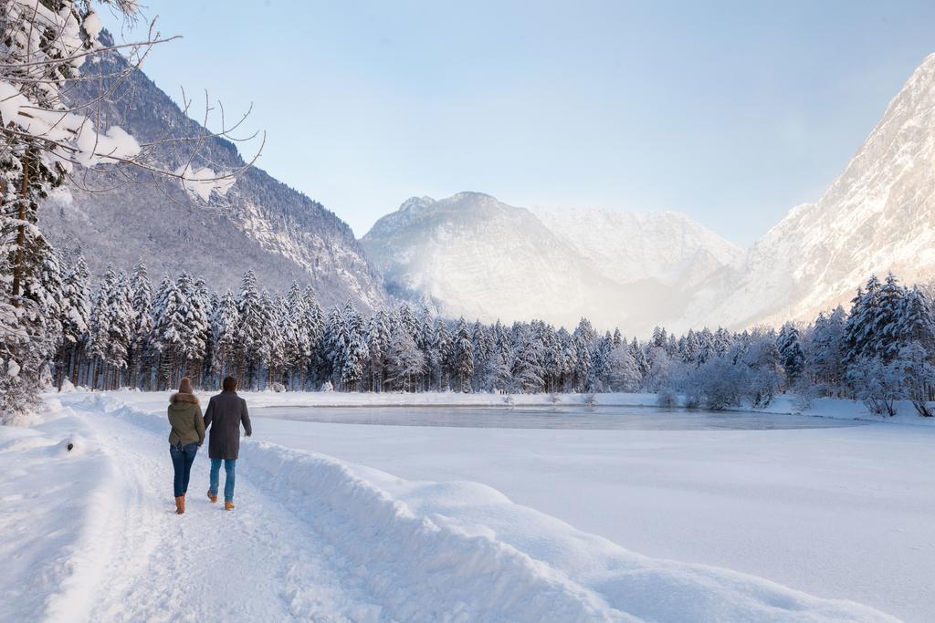 Forest Chalet, 15 Min To Salzburg Olt Town, And Most Beautiful Lakes, Secluded Location, 1,000 Sqm Garden, Mountainview, Panorama Sauna, Bath Whirlpool, Bbq&Bikes&Sunbeds For Free, Up To 10 P Golling an der Salzach Extérieur photo