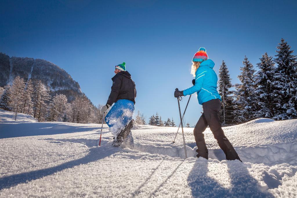 Forest Chalet, 15 Min To Salzburg Olt Town, And Most Beautiful Lakes, Secluded Location, 1,000 Sqm Garden, Mountainview, Panorama Sauna, Bath Whirlpool, Bbq&Bikes&Sunbeds For Free, Up To 10 P Golling an der Salzach Extérieur photo