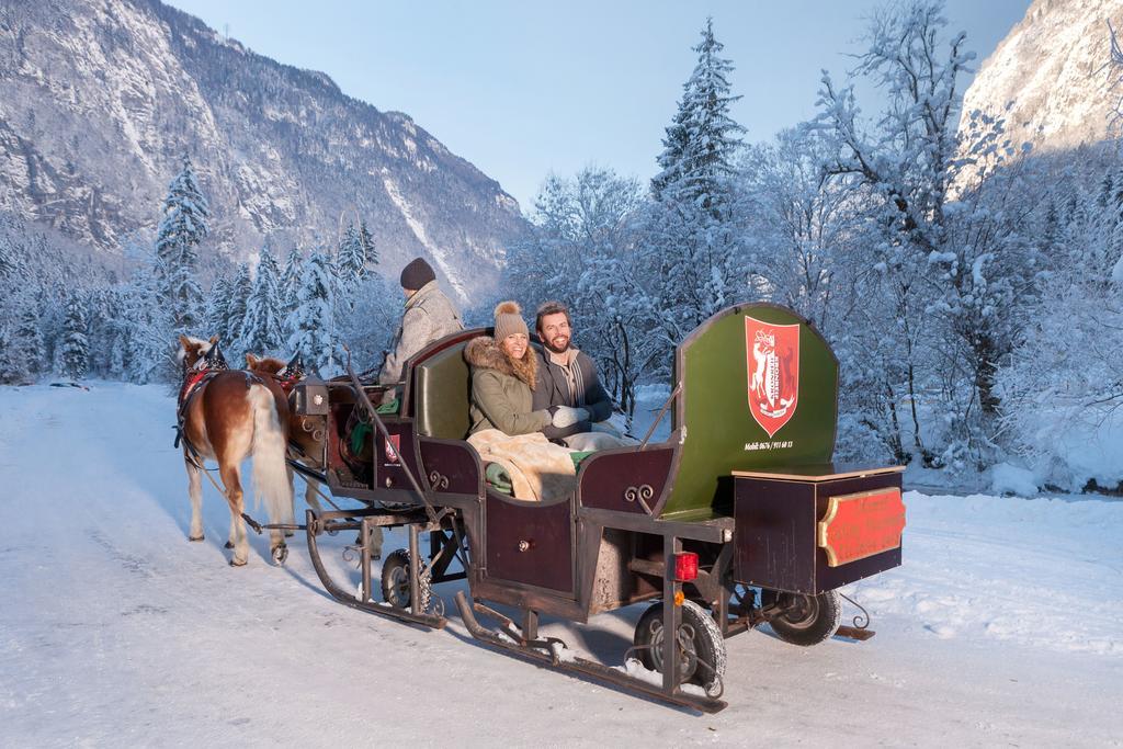 Forest Chalet, 15 Min To Salzburg Olt Town, And Most Beautiful Lakes, Secluded Location, 1,000 Sqm Garden, Mountainview, Panorama Sauna, Bath Whirlpool, Bbq&Bikes&Sunbeds For Free, Up To 10 P Golling an der Salzach Extérieur photo