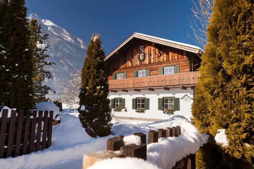 Forest Chalet, 15 Min To Salzburg Olt Town, And Most Beautiful Lakes, Secluded Location, 1,000 Sqm Garden, Mountainview, Panorama Sauna, Bath Whirlpool, Bbq&Bikes&Sunbeds For Free, Up To 10 P Golling an der Salzach Extérieur photo