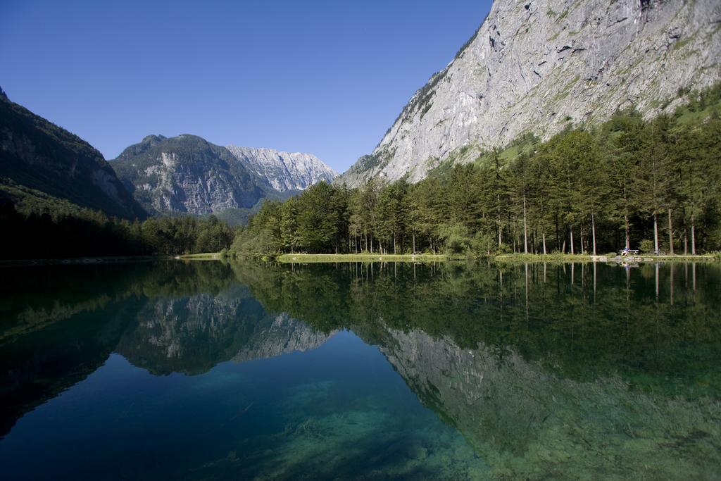 Forest Chalet, 15 Min To Salzburg Olt Town, And Most Beautiful Lakes, Secluded Location, 1,000 Sqm Garden, Mountainview, Panorama Sauna, Bath Whirlpool, Bbq&Bikes&Sunbeds For Free, Up To 10 P Golling an der Salzach Extérieur photo